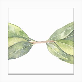 Sage Leaves Canvas Print