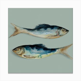 Mint Fish Canvas Print