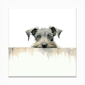 Schnauzer 13 Canvas Print