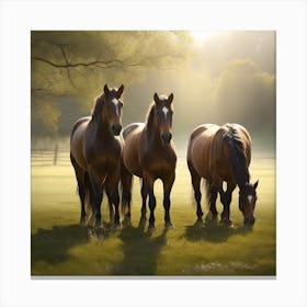 Horses In The Morning Canvas Print