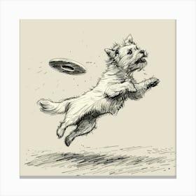 Dog Catching A Frisbee Canvas Print