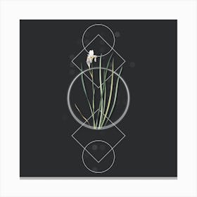 Vintage Siberian Iris Botanical with Geometric Line Motif and Dot Pattern n.0312 Canvas Print