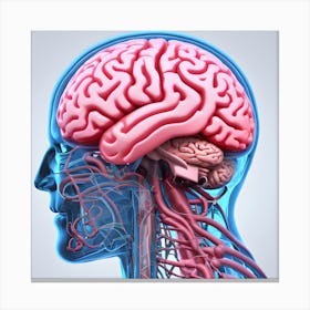 3d Render Of A Medical Image Of A Male Figure With Brain Highlighted (3) Canvas Print