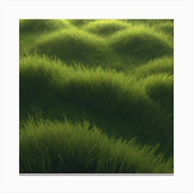 Grass Field 16 Canvas Print