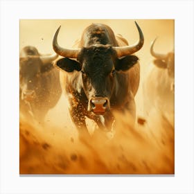 Bulls Running In The Dust Canvas Print