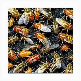 Group Of Flies 2 Canvas Print