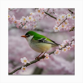 Bird In Cherry Blossoms Canvas Print