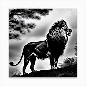 Lion In Black And White 3 Canvas Print