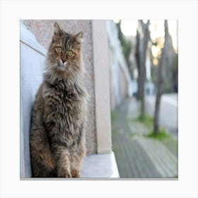 Cat Sitting On A Wall Canvas Print