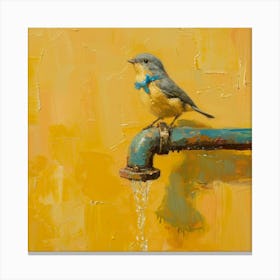 Bird On A Faucet 2 Canvas Print