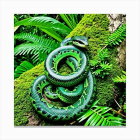 Emerald Tree Boa Snake Reptile Green Arboreal Tropical Rainforest Amazon South America Co (2) Canvas Print