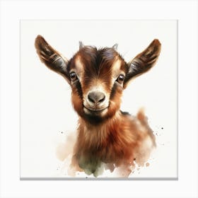 Baby Goat Watercolor Painting Canvas Print