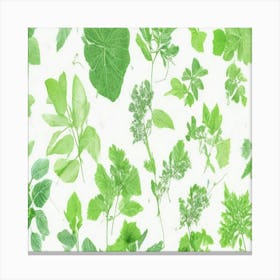 seamless pattern Green Leaves Canvas Print