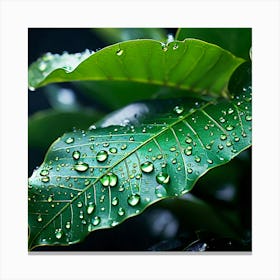 Tropical Leaves Macro Photography Close Up Hyper Detailed Trending On Artstation Shar (3) Canvas Print