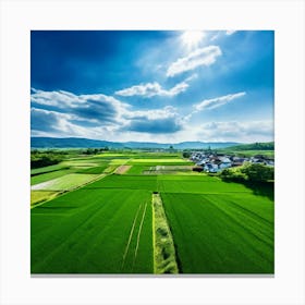 Aerial View Of Rice Fields In Japan Canvas Print