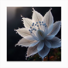 White Flower With Water Droplets 1 Canvas Print