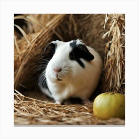 Guinea Pig 1 Canvas Print