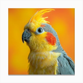 Cockatiel 3 Canvas Print