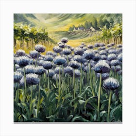 Alliums In The Vineyard Canvas Print