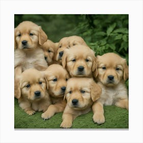 Golden Retriever Puppies 1 Canvas Print