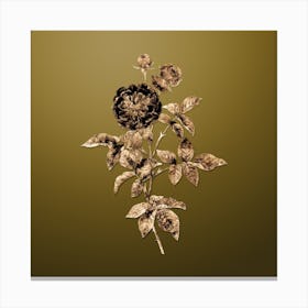 Gold Botanical One Hundred Leaved Rose on Dune Yellow n.4873 Canvas Print