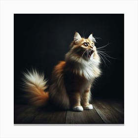 A ginger cat with wide open mouth and raised paw sits on a wooden floor against a dark background Canvas Print