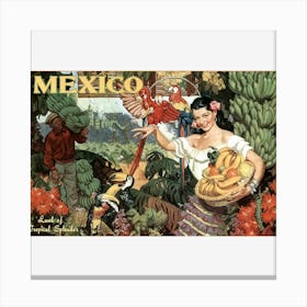 Mexico Canvas Print