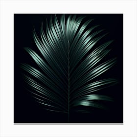 Palm Leaf On Black Background 1 Canvas Print