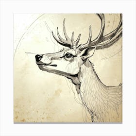 Deer Head 24 Canvas Print