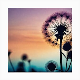 Sunset Dandelion 4 Canvas Print