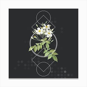 Vintage Musk Rose Botanical with Geometric Line Motif and Dot Pattern Canvas Print
