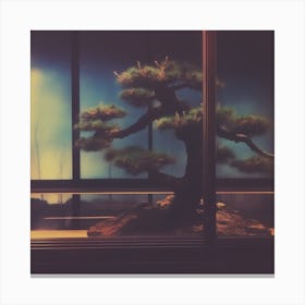bonsai 8 Canvas Print