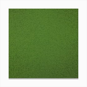 Green Grass 11 Canvas Print