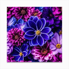 Purple Dahlias Canvas Print