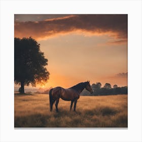 Sunset Horse Canvas Print