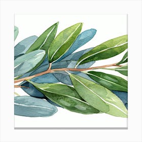 Olive Branch Watercolor Painting 2 Canvas Print