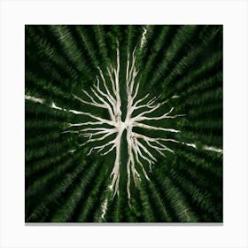 Fractal Forest Canvas Print