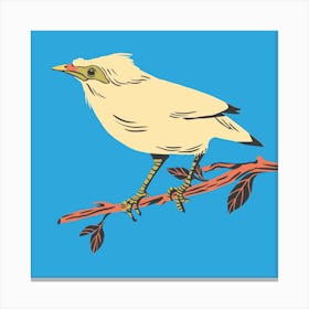 Bird Animal Branch Wildlife Canvas Print