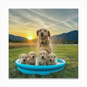 Puppy Pool 1 Canvas Print