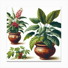 Three Potted Plants Canvas Print