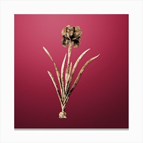 Gold Botanical Mourning Iris on Viva Magenta n.3839 Canvas Print