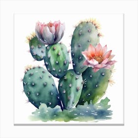 Watercolor Cactus 17 Canvas Print