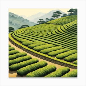 Tea Plantation Painting (2) Canvas Print