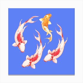 Koi Fish Canvas Print