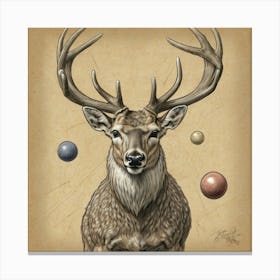 Deer With Balls 3 Canvas Print