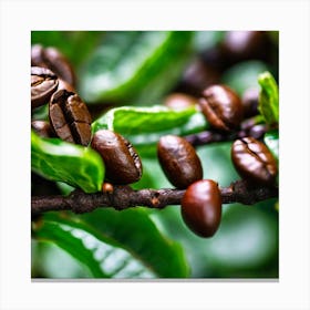 Coffee Beans On A Branch Canvas Print