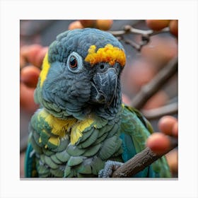 Cute Parrot 1 Canvas Print