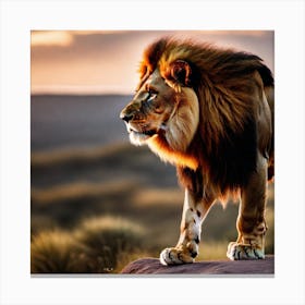 Lion At Sunset 9 Canvas Print
