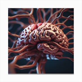 Brain With Blood Vessels Canvas Print