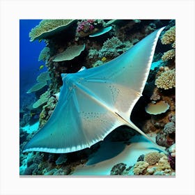 Stingray 3 Canvas Print